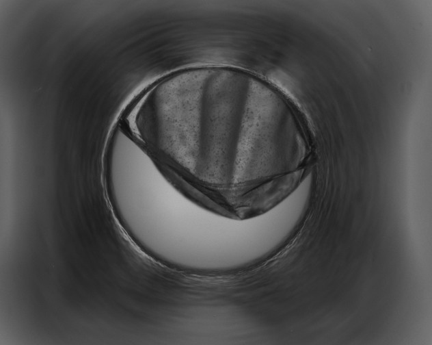 X0000087001468200705071456