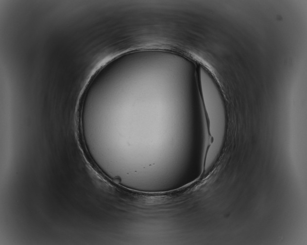 X0000087001471200705071456