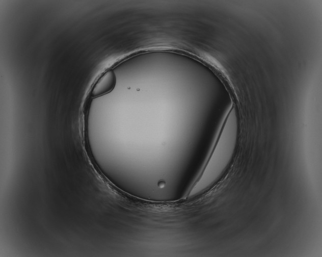 X0000087001472200705071456