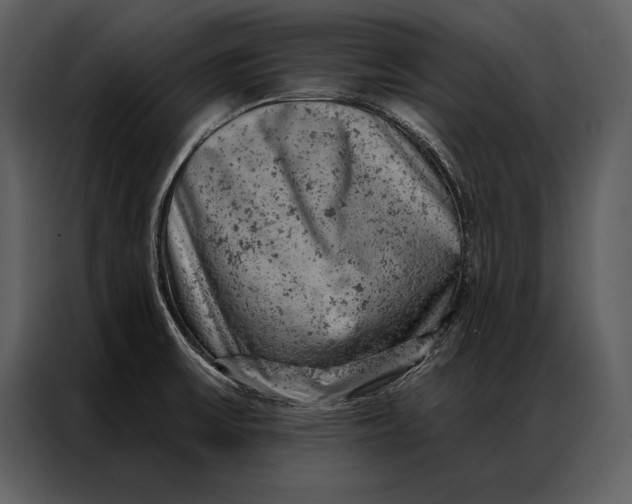 X0000087001475200705071456