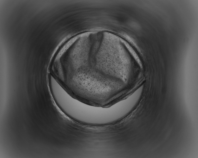 X0000087001476200705071456