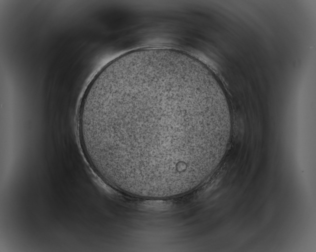 X0000087001478200705071456