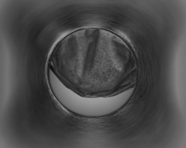 X0000087001480200705071456