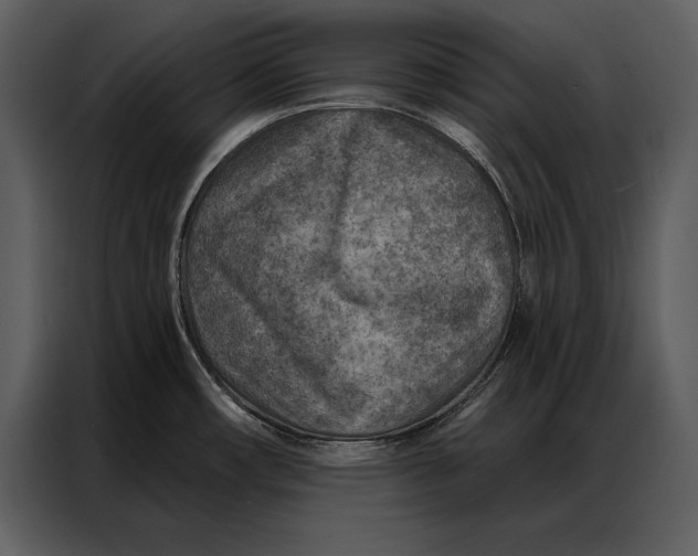 X0000087001482200705071456