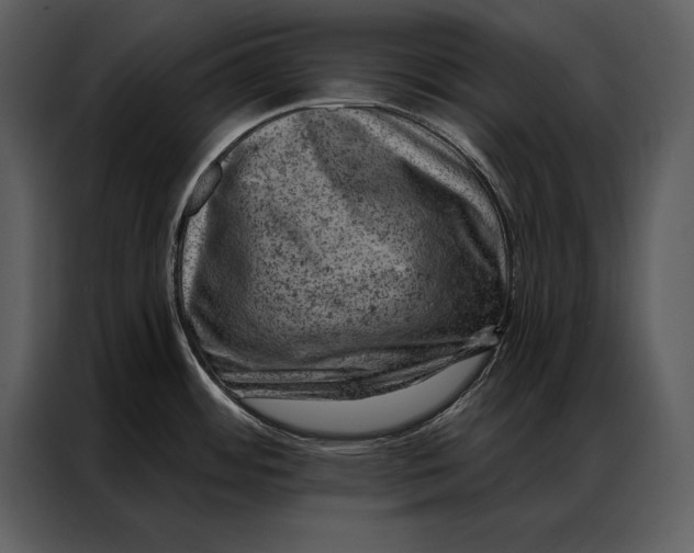 X0000087001484200705071456