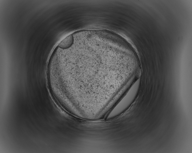 X0000087001486200705071456