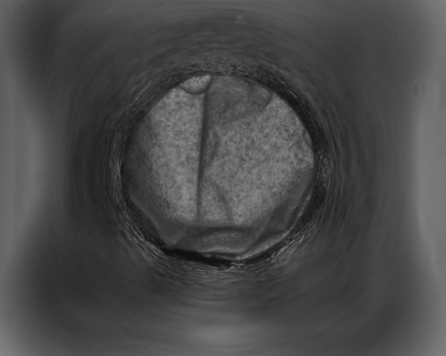 X0000087001489200705071455