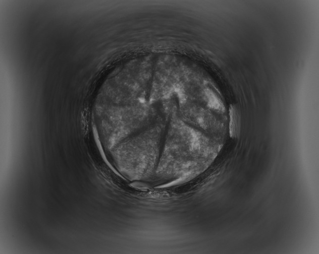 X0000087001491200705071455