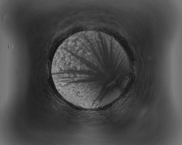 X0000087001493200705071455