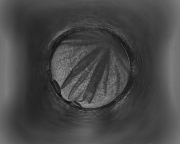 X0000087001494200705071455