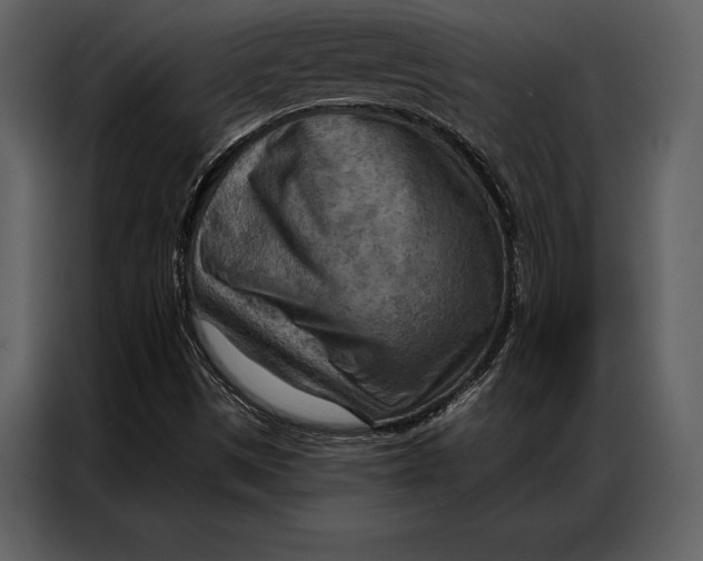 X0000087001497200705071455