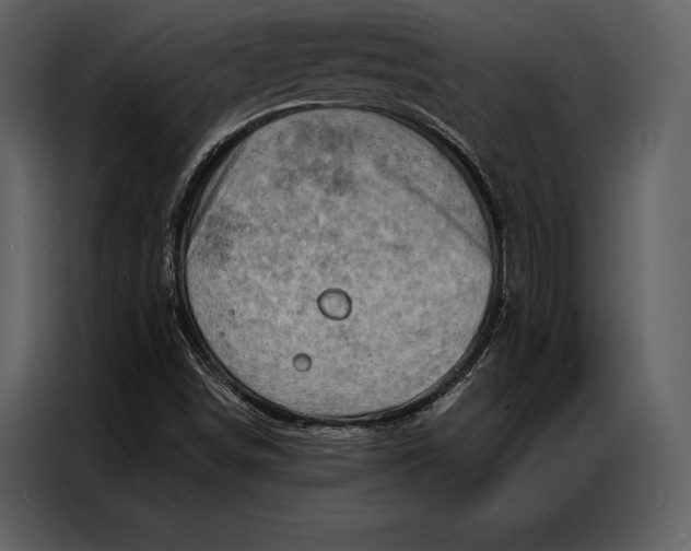 X0000087001498200705071455