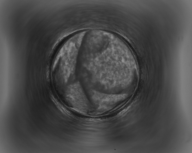 X0000087001499200705071455