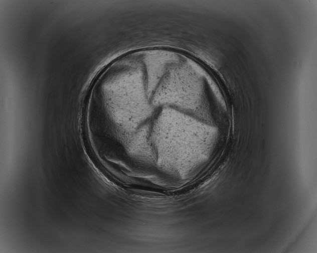 X0000087001500200705071455