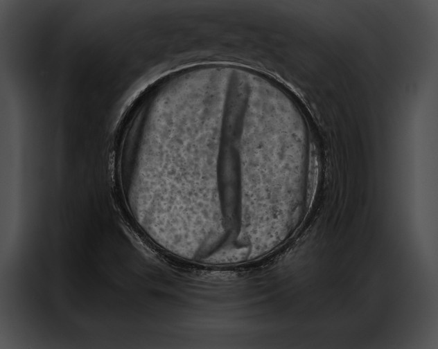 X0000087001503200705071455