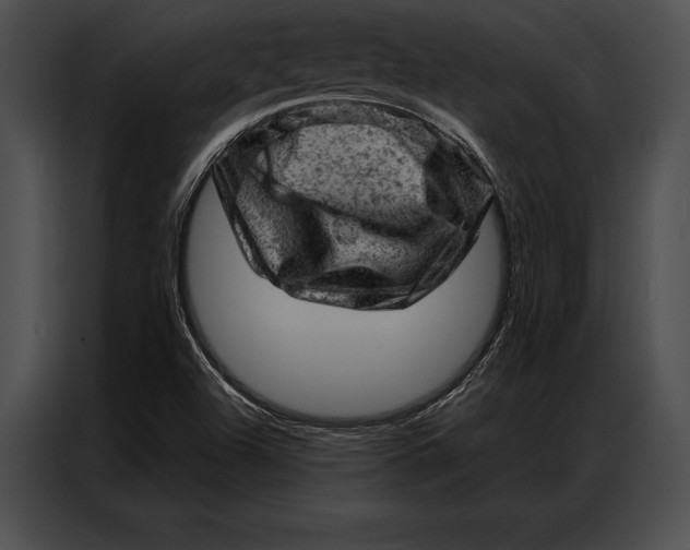 X0000087001504200705071455