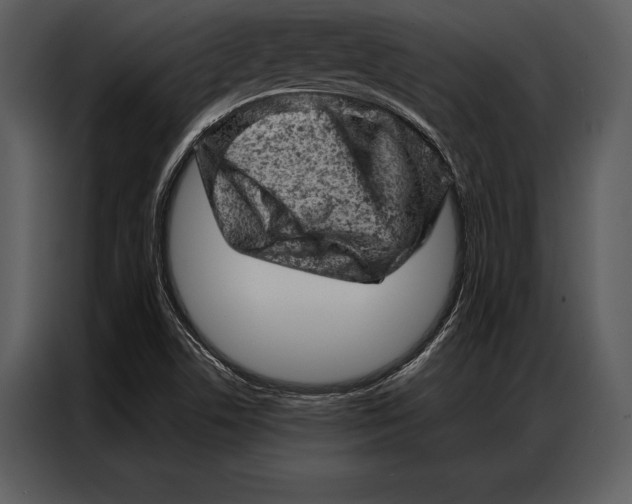 X0000087001506200705071455