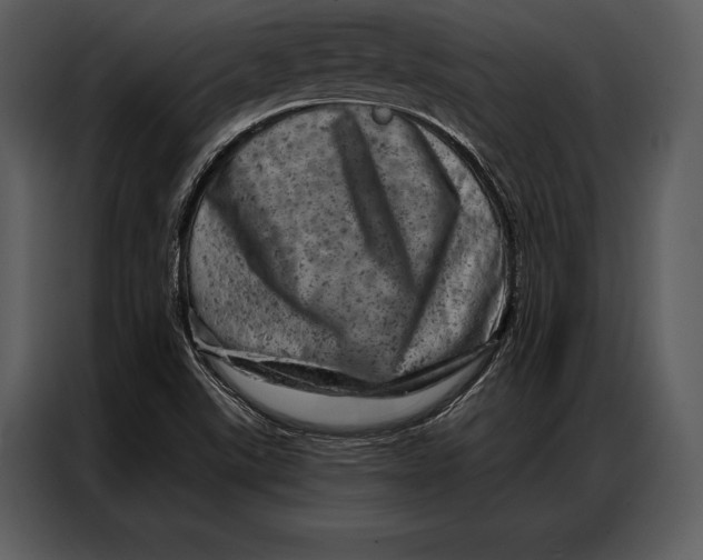 X0000087001507200705071455