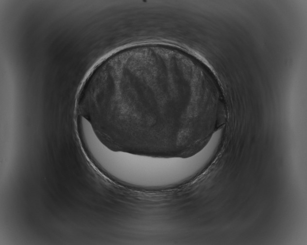 X0000087001508200705071455