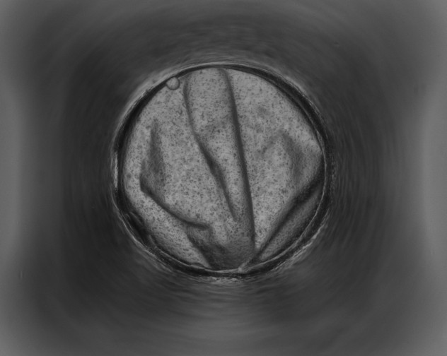 X0000087001509200705071455