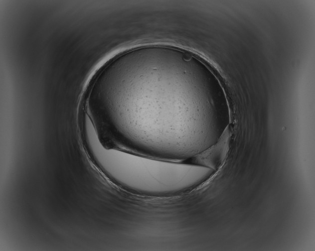 X0000087001510200705071455