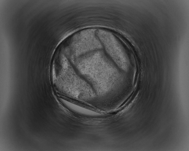 X0000087001513200705071456