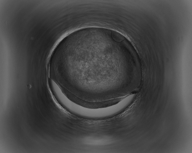 X0000087001515200705071456