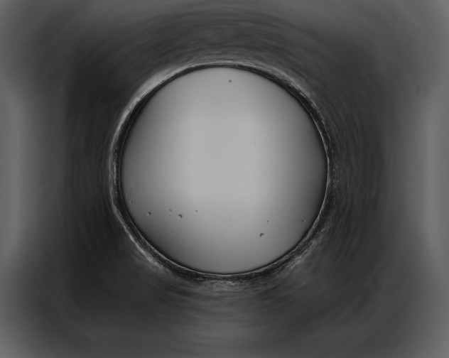 X0000087001517200705071456