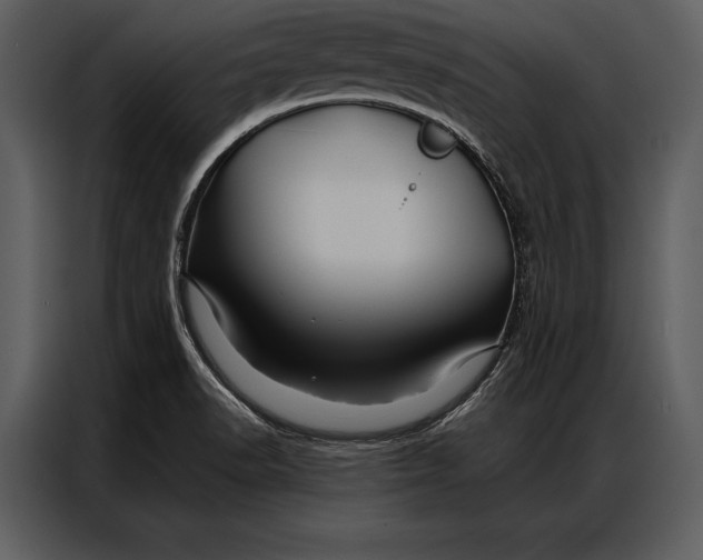 X0000087001518200705071456