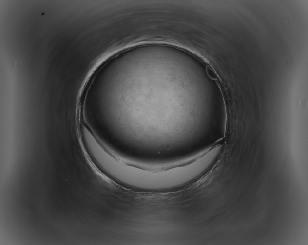 X0000087001519200705071456