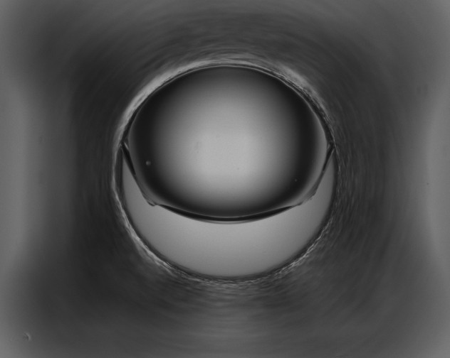 X0000087001520200705071456