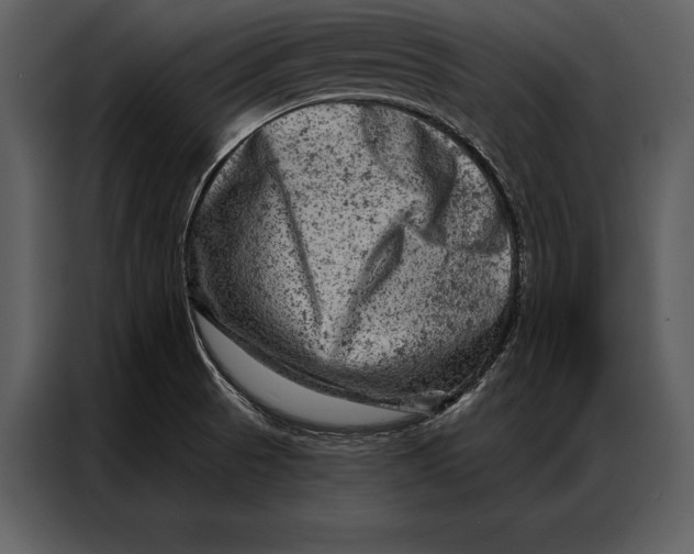 X0000087001521200705071456