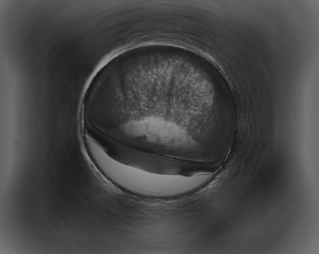 X0000087001522200705071456