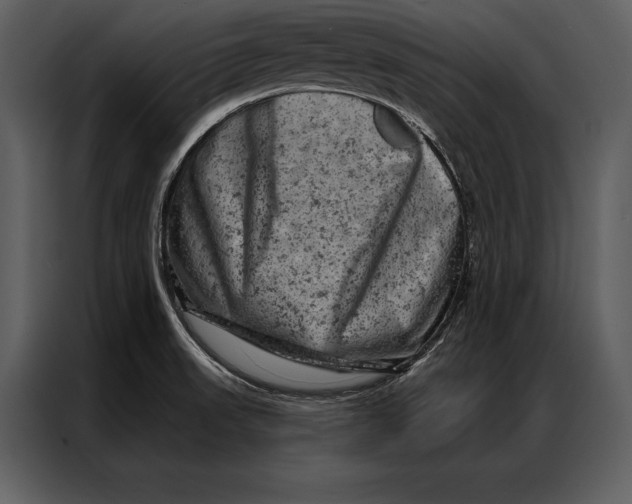 X0000087001523200705071456