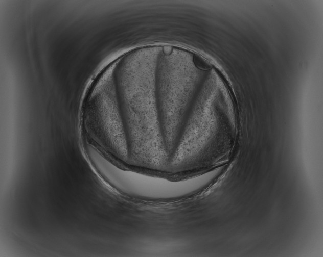 X0000087001525200705071456