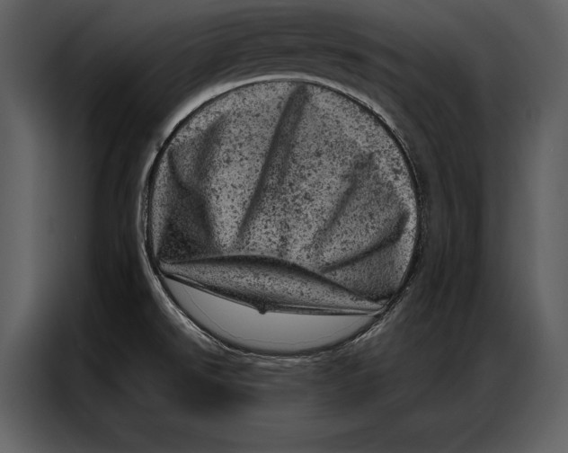 X0000087001526200705071456