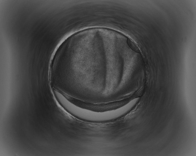 X0000087001527200705071456