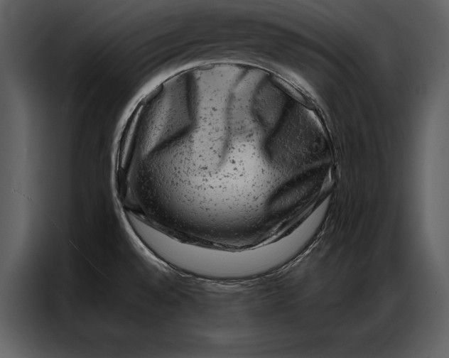 X0000087001528200705071456