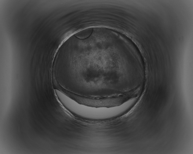 X0000087001529200705071456