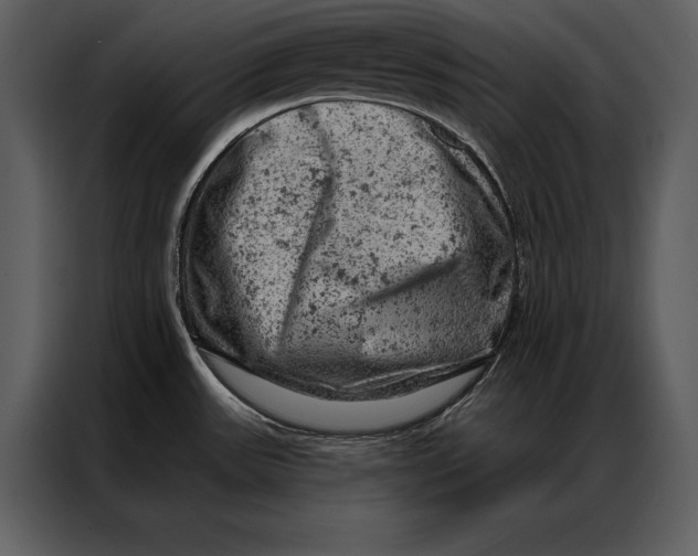 X0000087001531200705071456