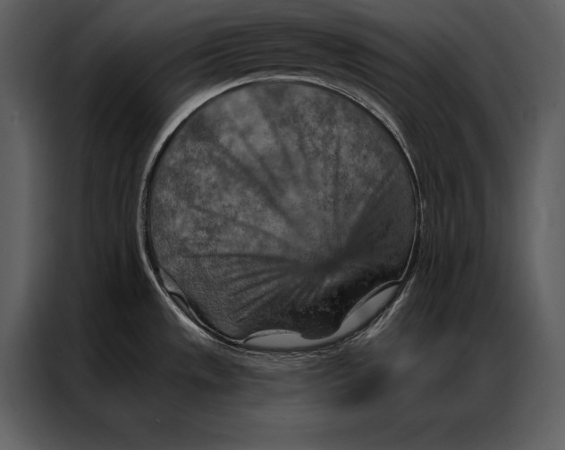 X0000087001533200705071456