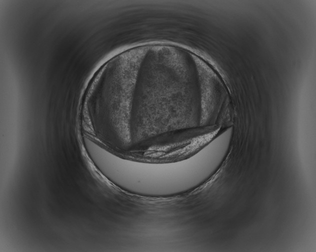 X0000087001534200705071456