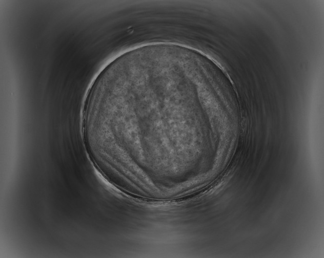 X0000087001535200705071456