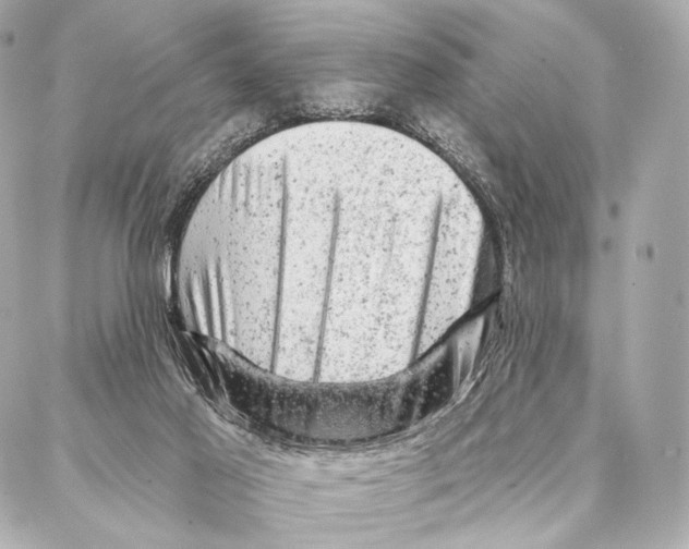 X0000087000021200705141817