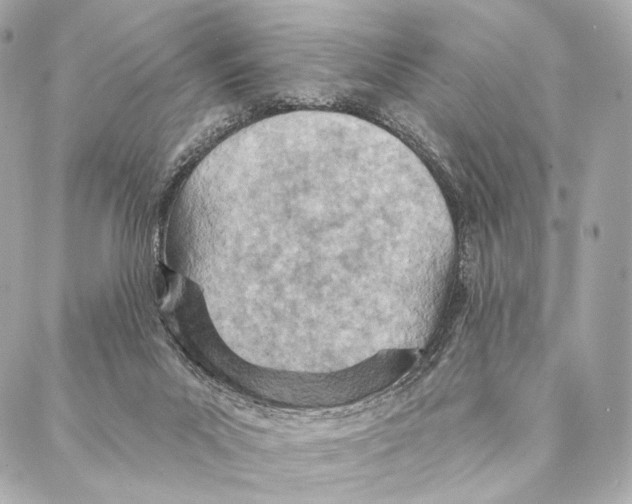 X0000087000023200705141817
