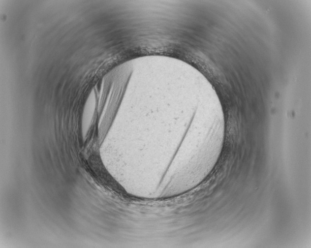 X0000087000025200705141817