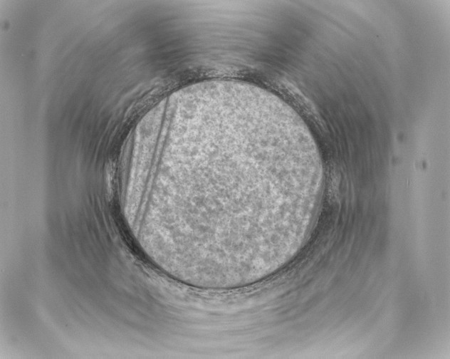 X0000087000026200705141817