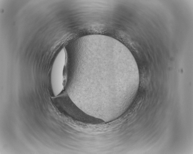 X0000087000027200705141817