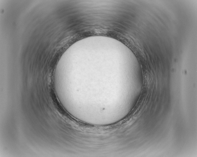 X0000087000032200705141817
