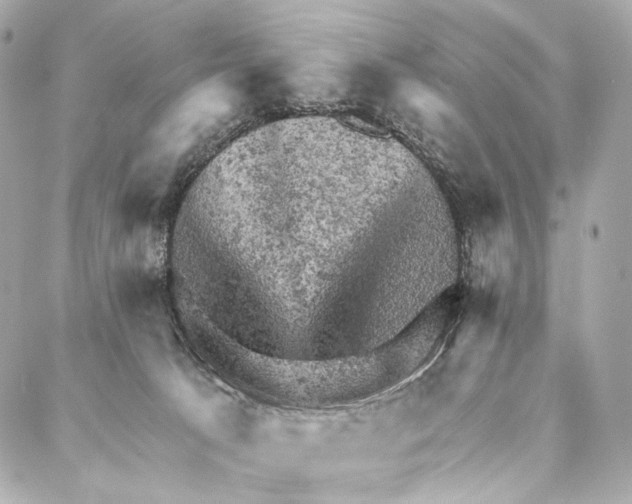X0000087000033200705141817